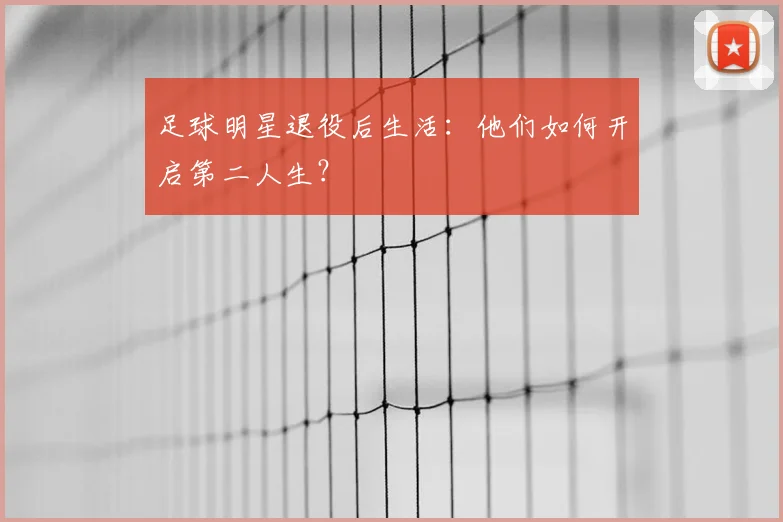 足球明星退役后生活：他们如何开启第二人生？