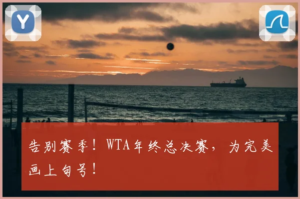 告别赛季！WTA年终总决赛，为完美画上句号！